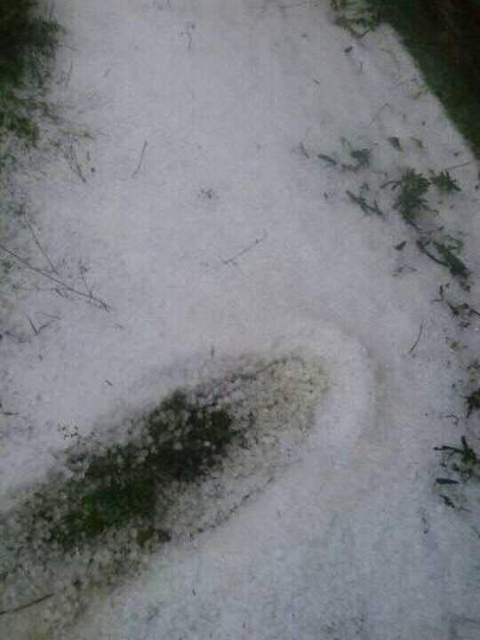 18279983_1572603399451796_1911693774_n