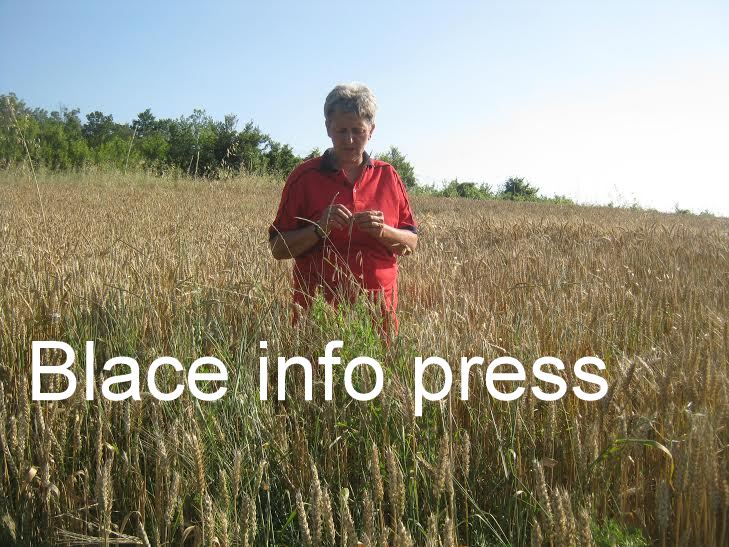 29f42c6c-80fb-4414-a7bd-22b7f5cf8bfb