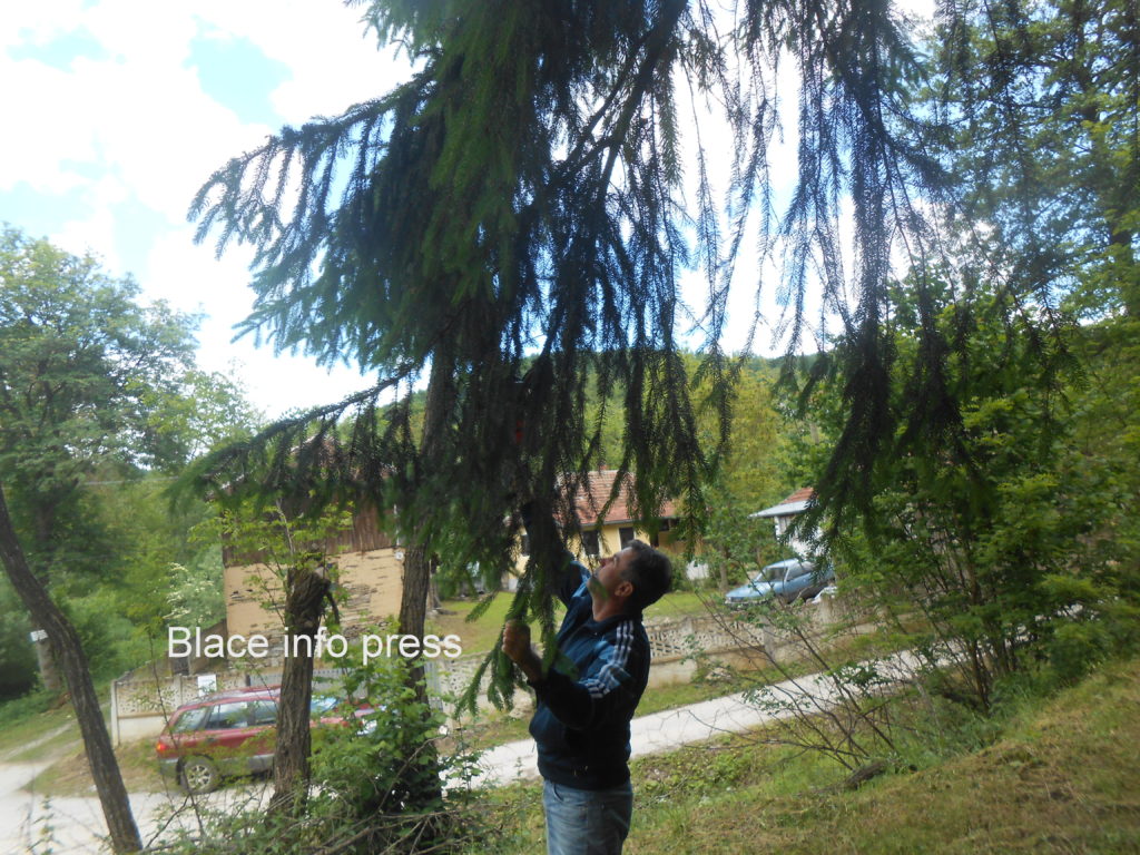 DSCN0962