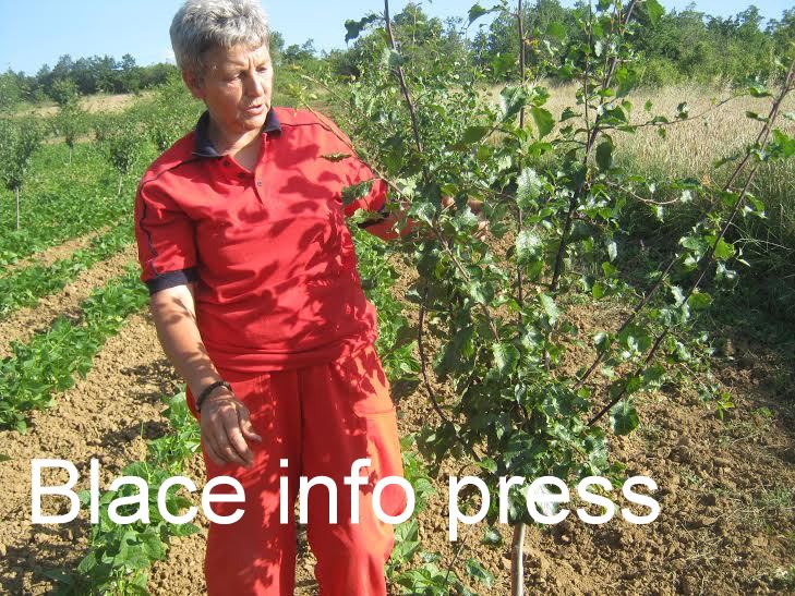 b158da9e-c913-4200-b65e-a25e0d3ade59