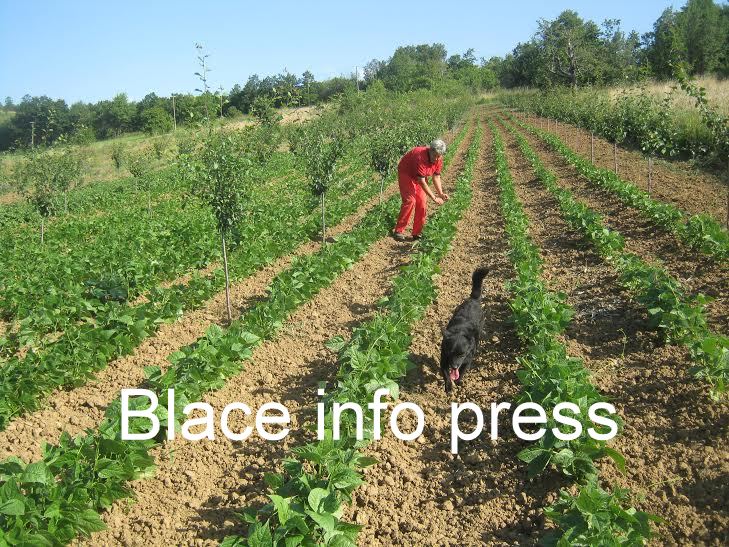 c1bb646f-273e-462c-ae9d-050ed712e2b5