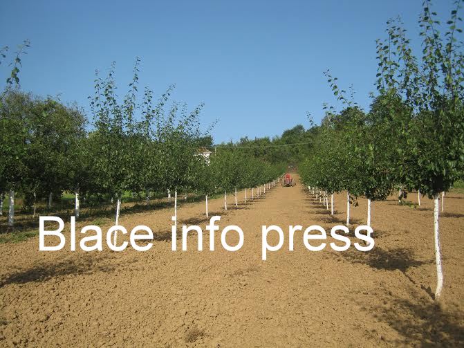 ee4555b2-0ca1-45d5-a209-a7c0e9c98109