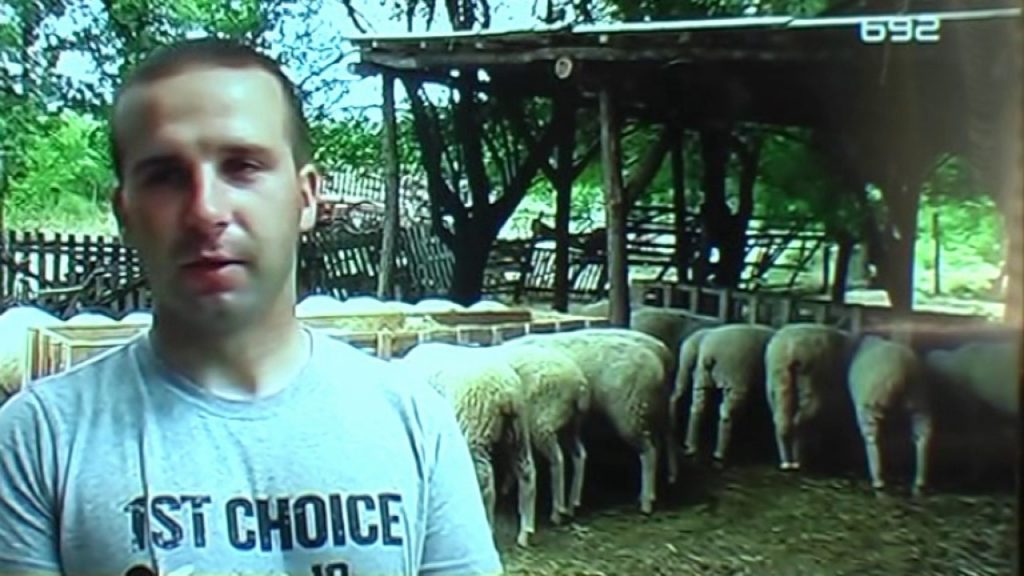 Priča sa farme ovaca porodice Pavlović iz Čučala – TV B92