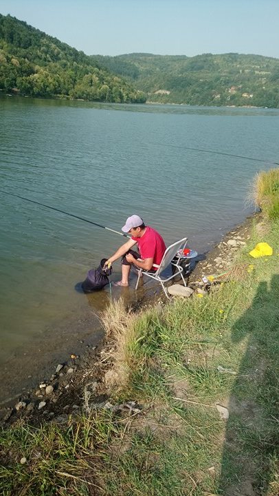 20793281_1720396191323063_463768990_n