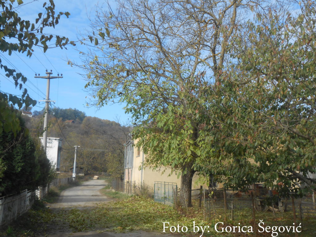 DSCN0358