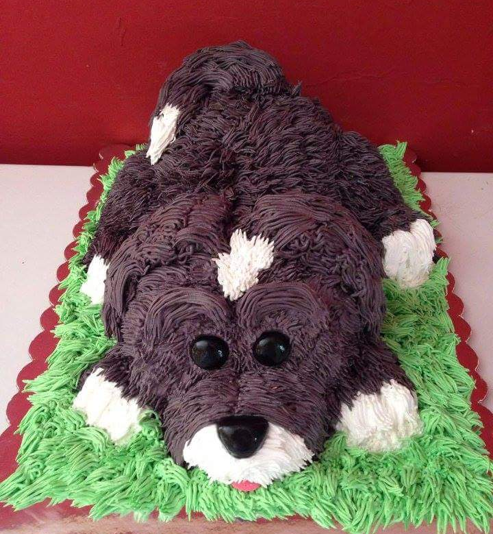 29746056_1708125935912102_144780640_n