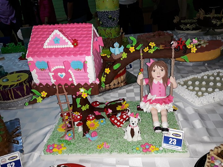 29746163_1708098549248174_862979033_n