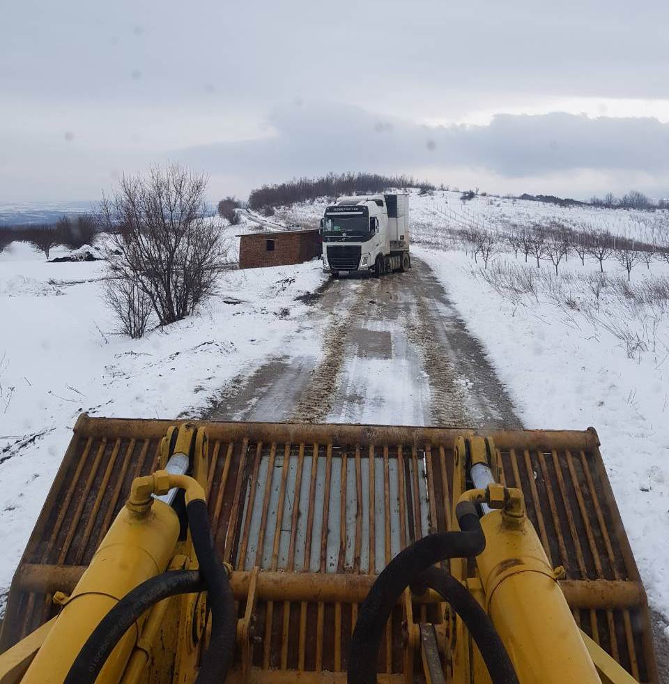 IMG-399ad7b654c60c6e7b706df8557c7913-V