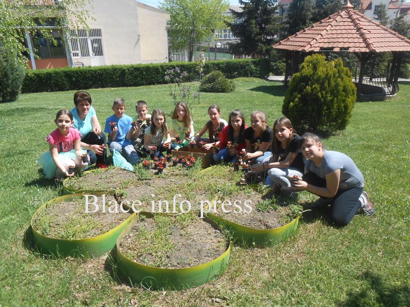 DSCN0090