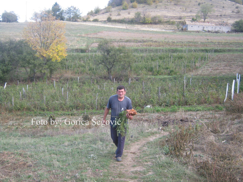 IMG_4940 (1)