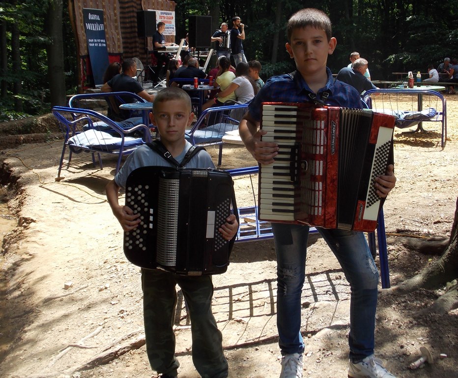 harmonika6