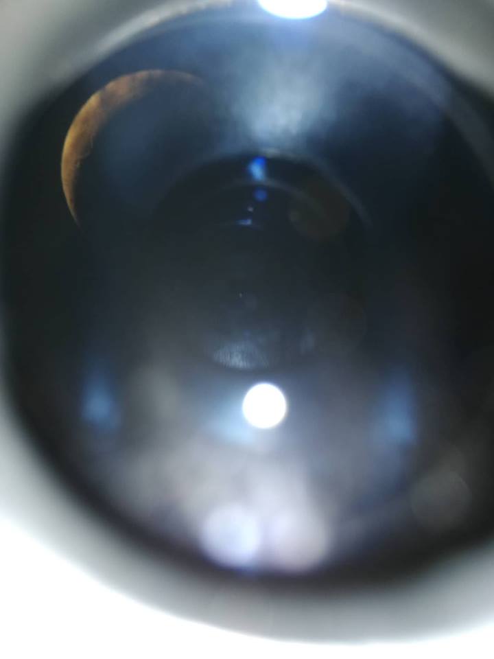 43712978_255940175064947_1326054535411531776_n