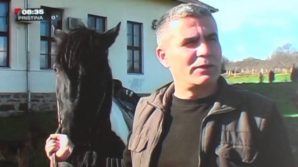 Posetili smo: Odgajivače konja iz okoline Blaca, ponuda turističkog jahanja jedan od planova za budućnost