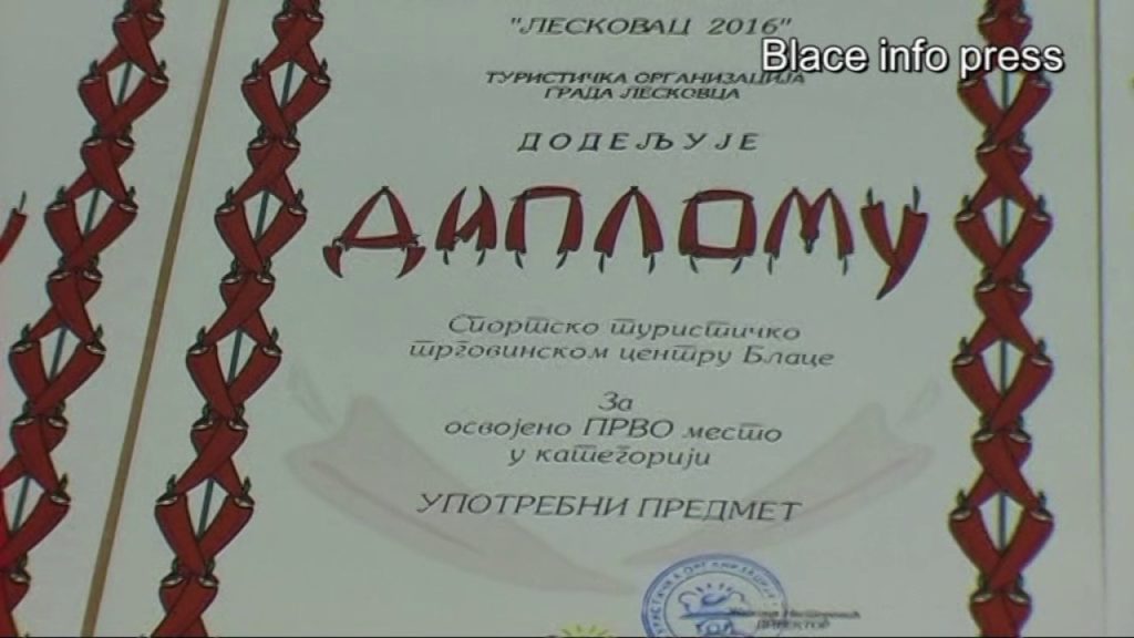 STTC Blace sve uspešnije promoviše opštinu Blace