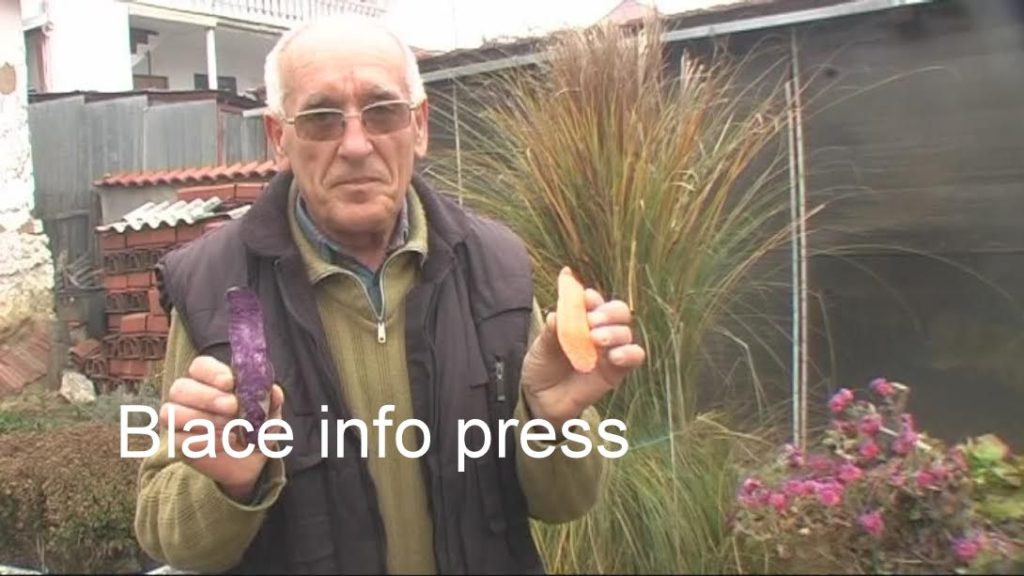 Plavi i roze krompir