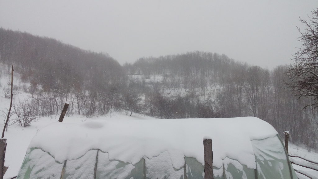 20170110_141005