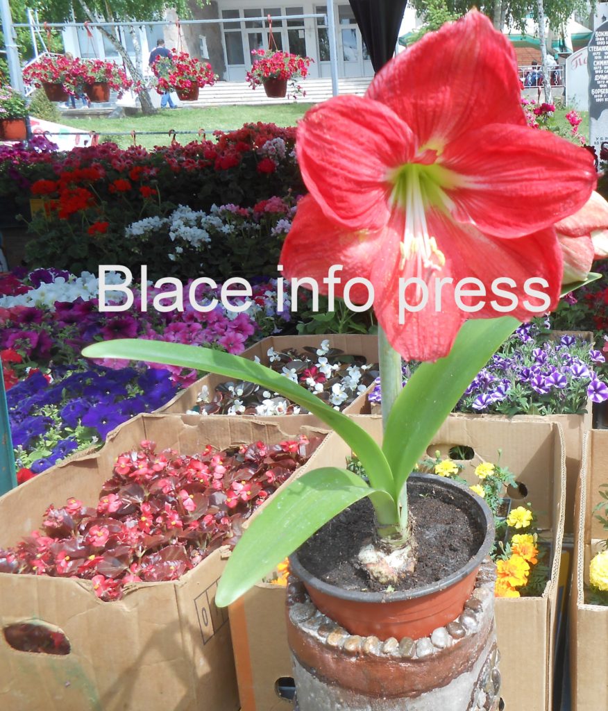 DSCN0307