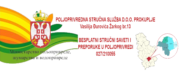 poljo