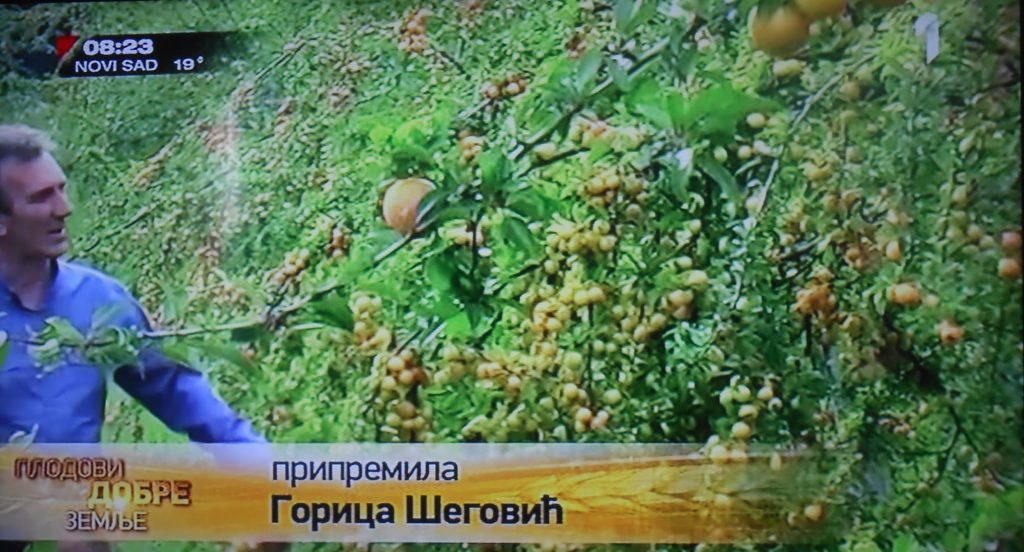 DSCN0097