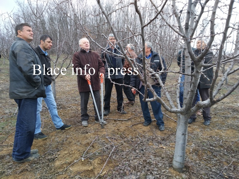 IMG_20190305_141825