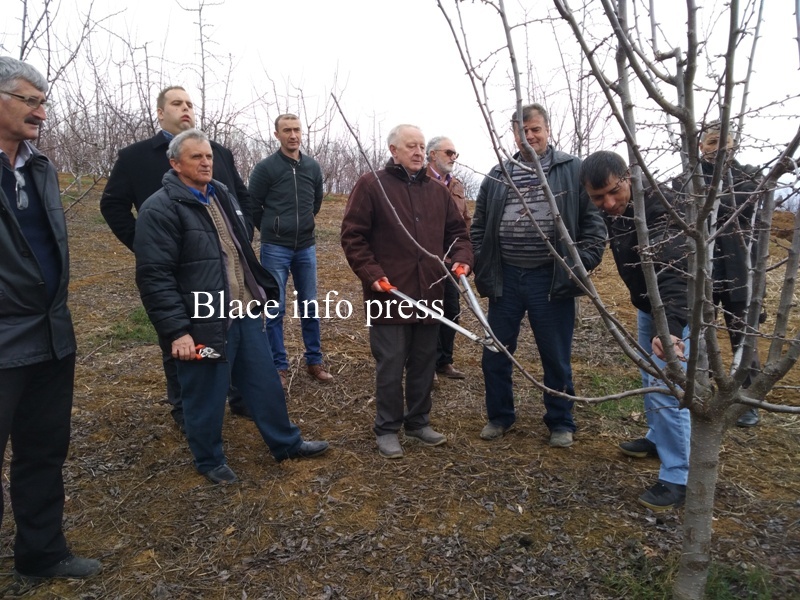 IMG_20190305_142127