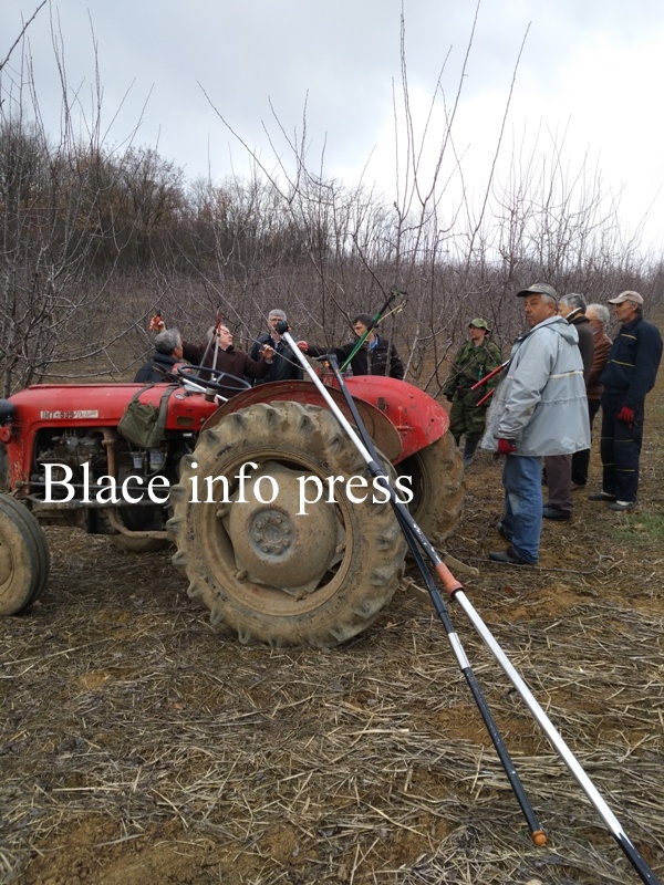 IMG_20190305_142523