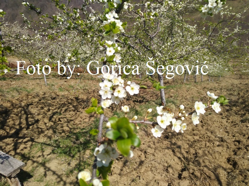 IMG_20190330_111550