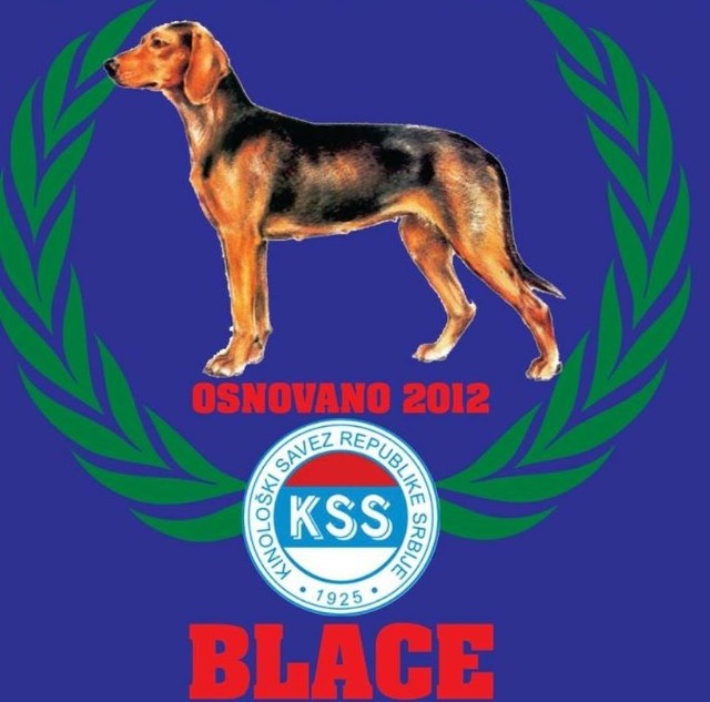 0-02-05-fc14f64a53a17a57274f033bb86f6339921002fc58490a1ef9f5e5252b7ce5fa_d33eb8a7