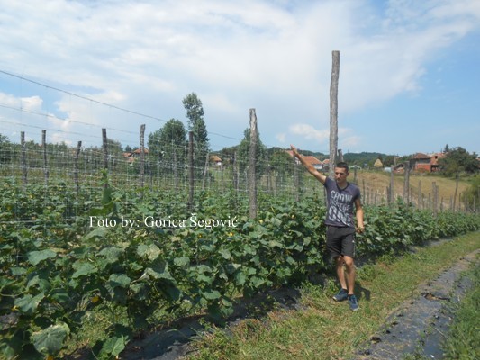 DSCN3622