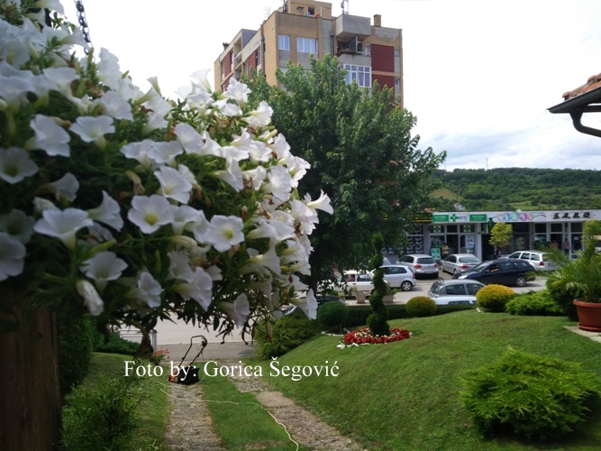 IMG_20190716_112624