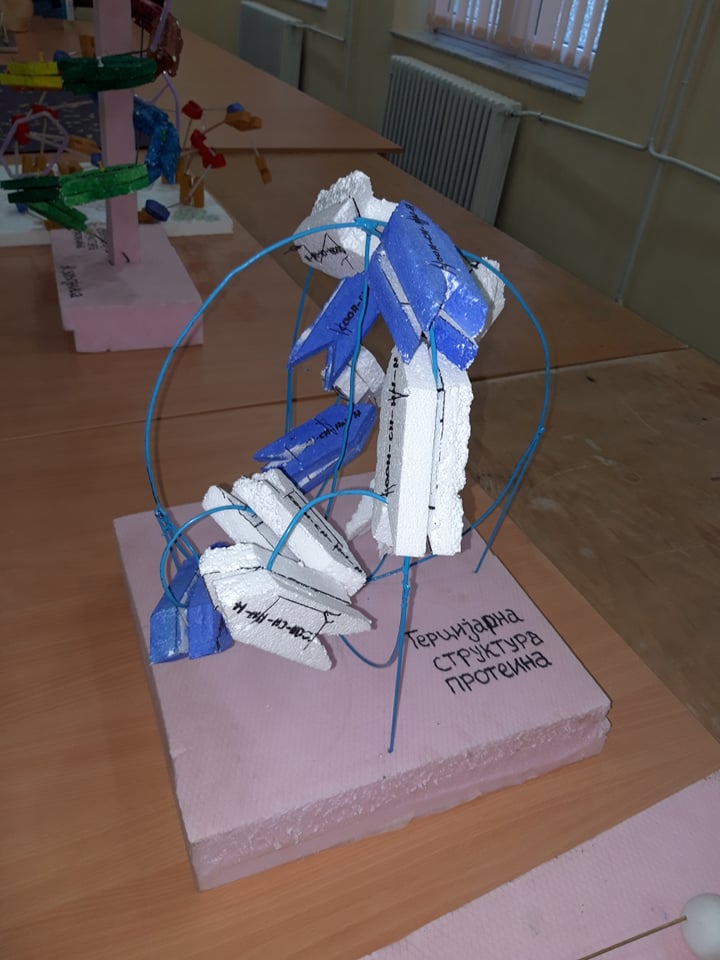 71557716_385190035743509_7427860434775965696_n