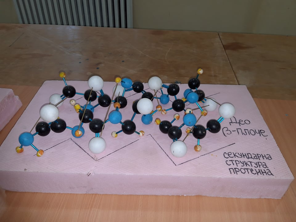 72356612_3026510634030374_1885039138801975296_n
