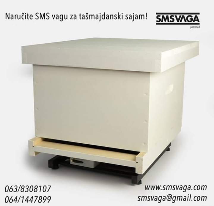 viber_image_2019-11-21_17-47-33