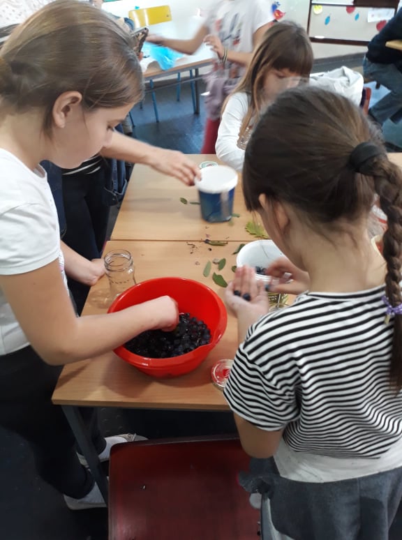 78241481_985415875161817_8403714576801071104_n