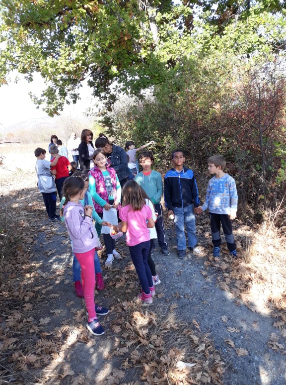 78329507_434919530788990_4874057392922296320_n