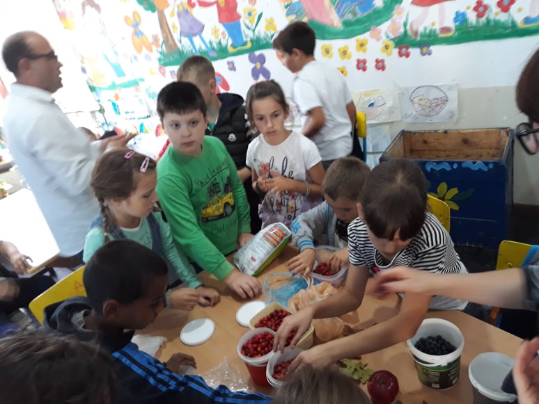 78858158_1748061321993665_7973428604010758144_n