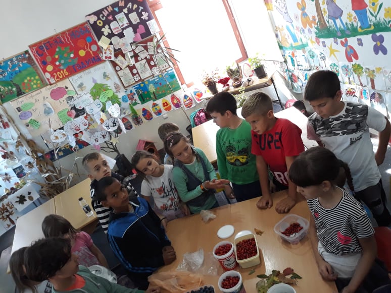 78942291_564764740759134_8897965995746918400_n