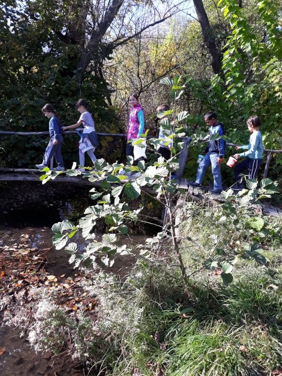 79003046_2458491501092452_8321562400868270080_n