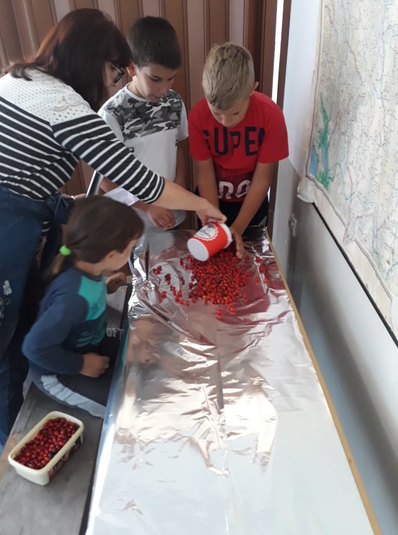 79137270_574094933386711_5395882179785916416_n