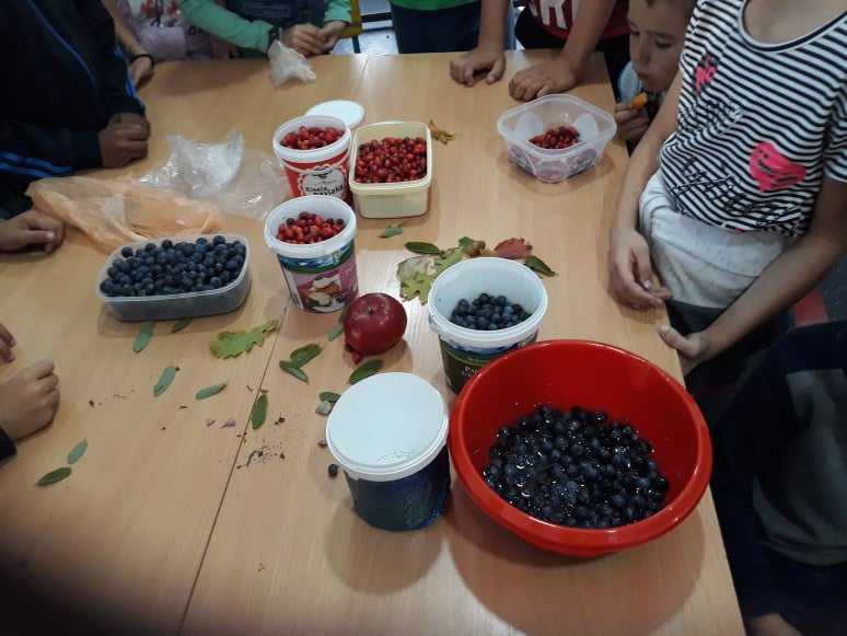 79426214_562497997879408_2816894742493659136_n