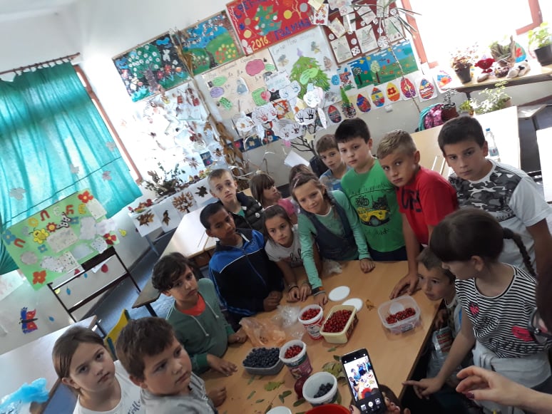 80197625_567694063790918_2450249164143984640_n