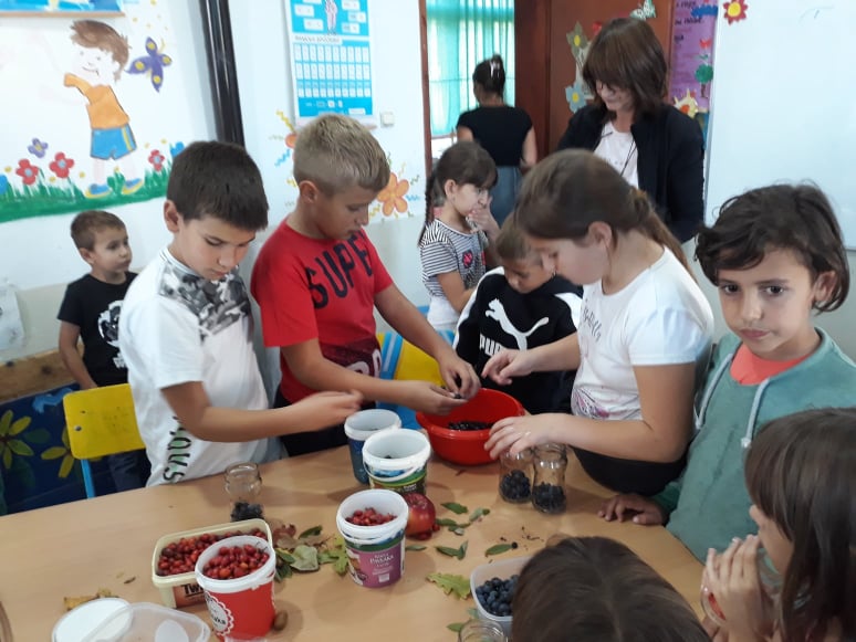 80409817_808852449527974_8326563619701522432_n