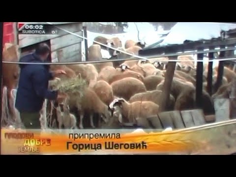 Poljoprivredna godina za nama – video tv Prva
