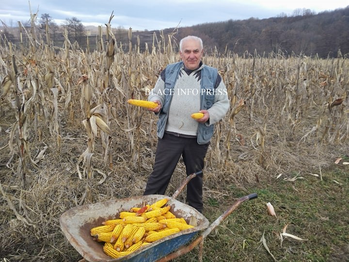 83500711_199936447794772_6478397178862632960_n