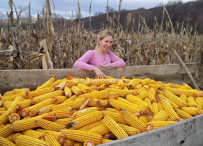 83677542_189023575836291_4414058574385250304_n