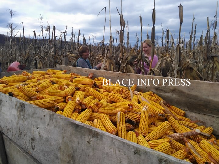 83996543_167745677849855_449286684769517568_n