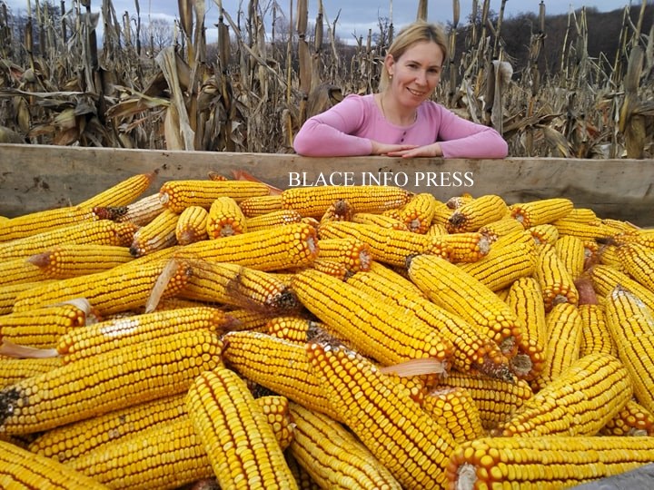 84688114_802989703550422_4214861994106290176_n