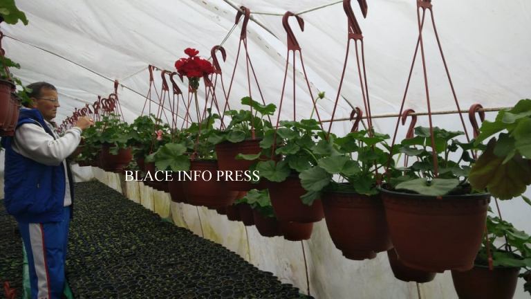 88248365_186183856139567_3343017172417904640_n