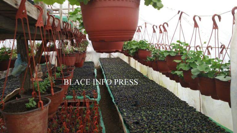 88257521_202923167443545_2916359476330102784_n