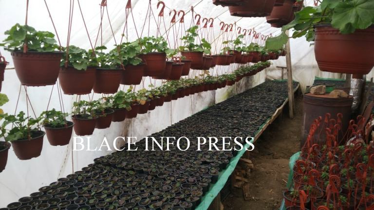 89378386_210057500109600_6841081208227495936_n